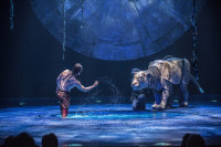 Cirque du Soleil's "LUZIA" is playful, colorful and romantic