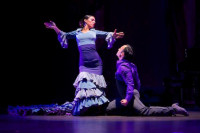 40 Years of Spanish Art Form Mastery Comes to Life in "Flamenco Passion"