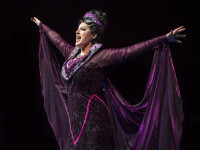 Meghan Murphy in Sleeping Beauty at Marriott Theatre
